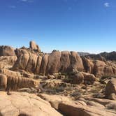 Review photo of Jumbo Rocks Campground — Joshua Tree National Park by Robert  K., November 4, 2020