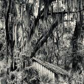 Review photo of Skidaway Island State Park Campground by Dean , November 4, 2020