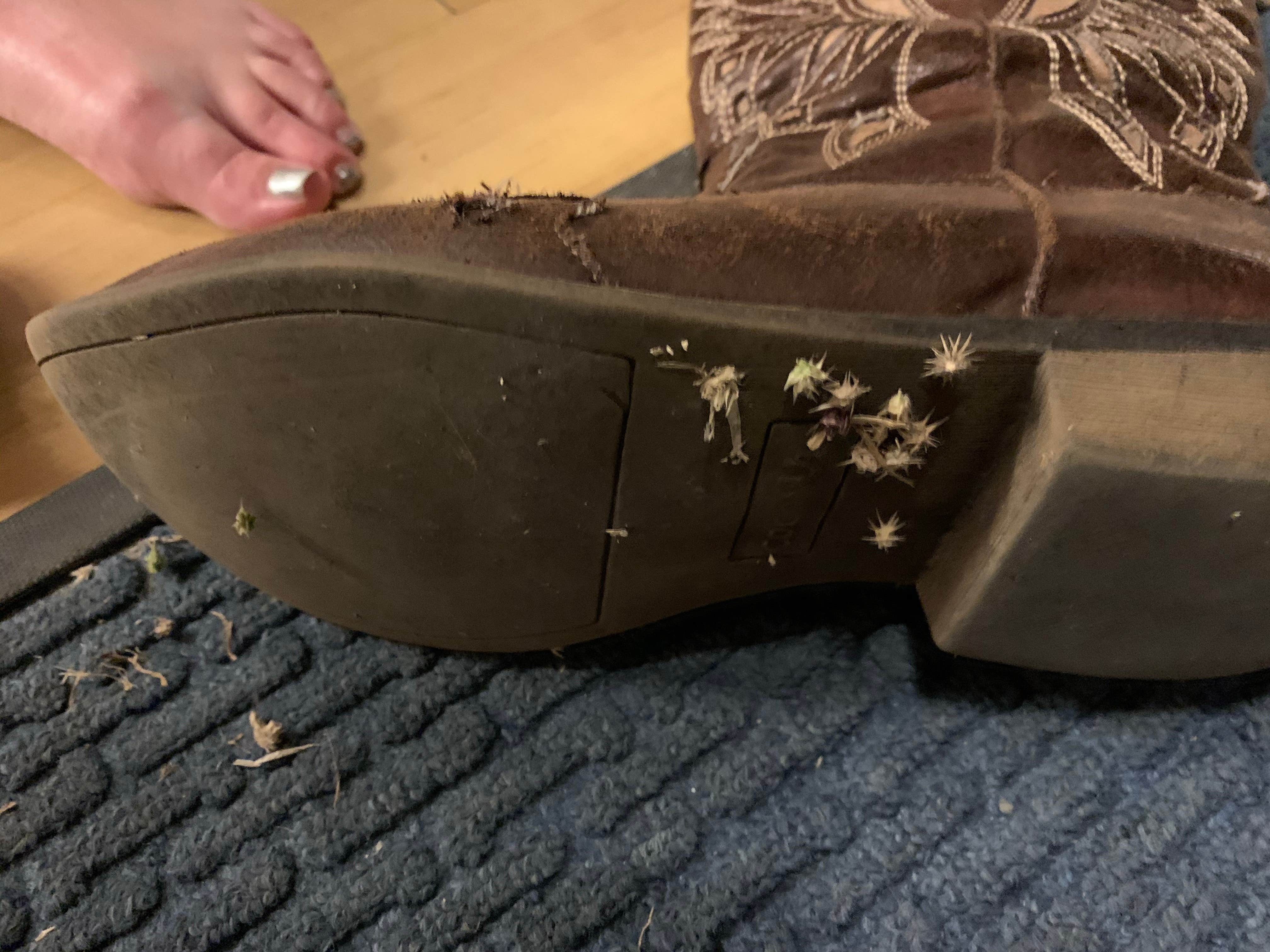 Camper-submitted photo at Bug Beach BRA #5 near Mineral Wells, TX