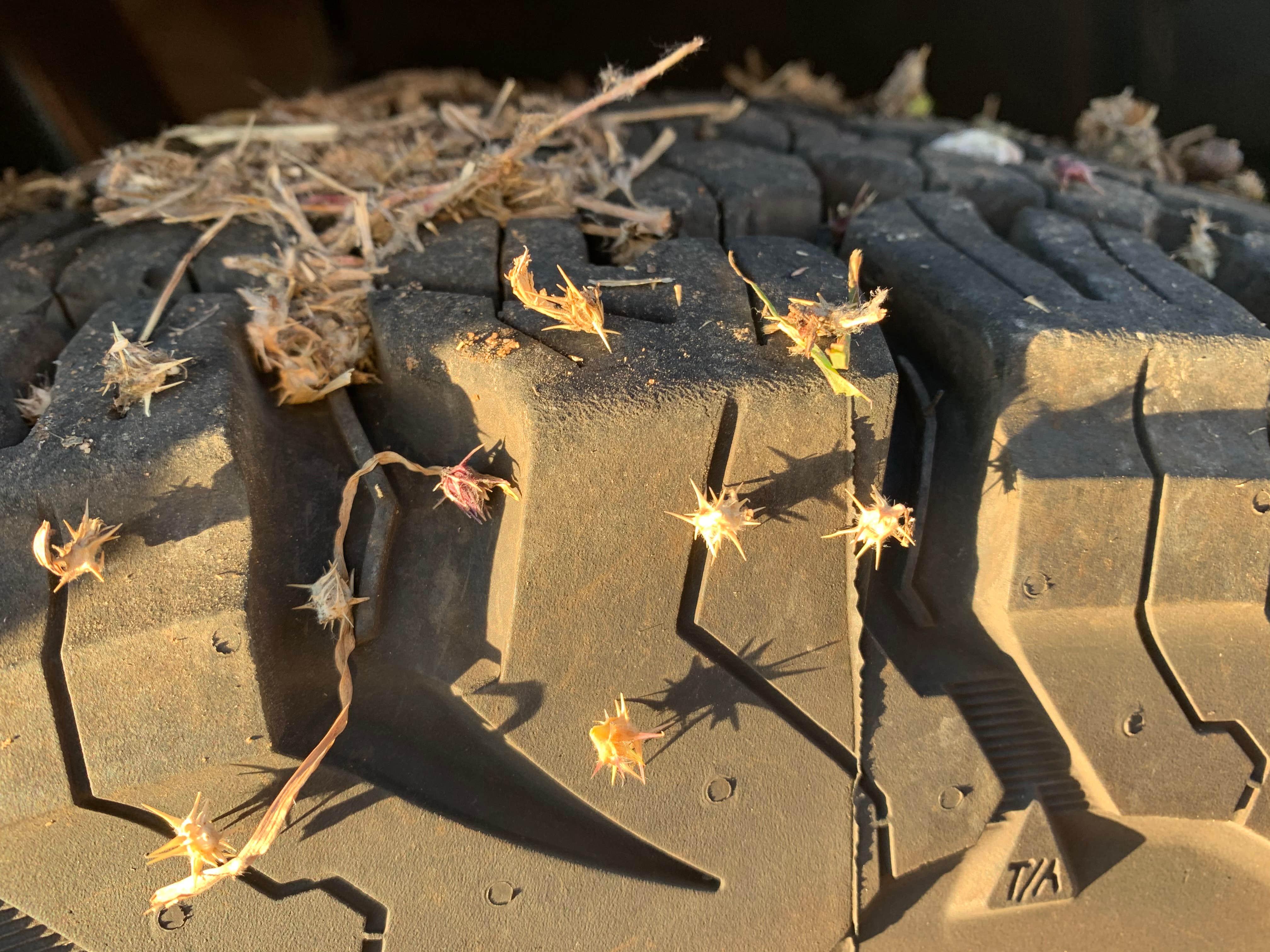 Camper-submitted photo at Bug Beach BRA #5 near Mineral Wells, TX