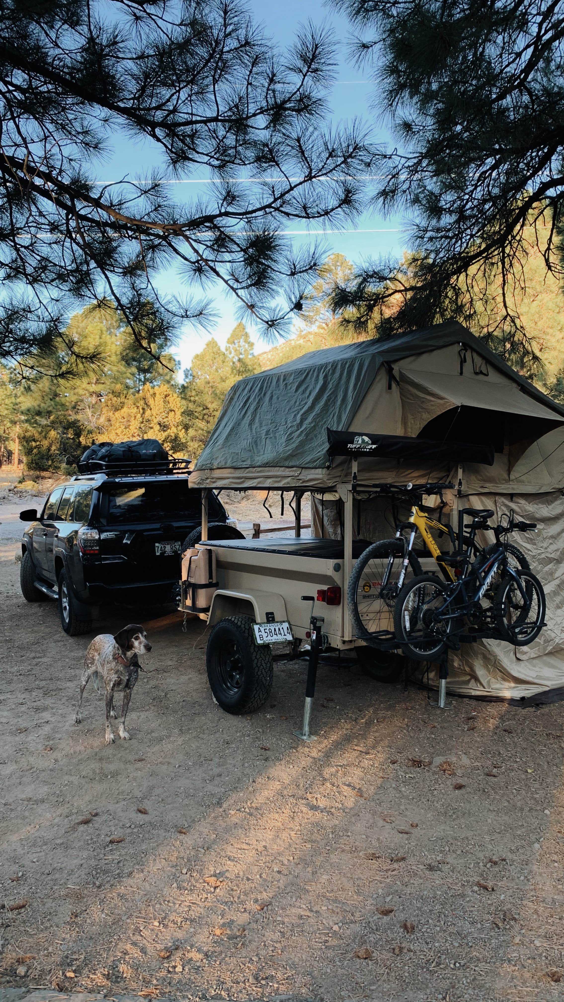 Ryan M.'s photo of camping with pets at Flagstaff KOA in Arizona