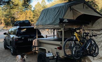 Ryan M.'s photo of camping with pets at Flagstaff KOA near Flagstaff, AZ