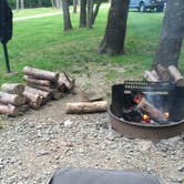 Review photo of Leonard Harrison State Park — Leonard Harrison State Park by Denice S., July 10, 2016