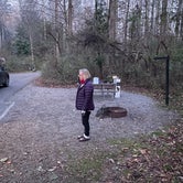 Review photo of Davidson River Campground by Bret D., November 4, 2020
