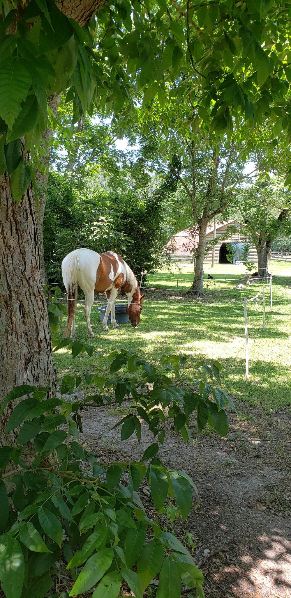 Camper submitted image from Green Wood Stable Lodge RV Park - 1