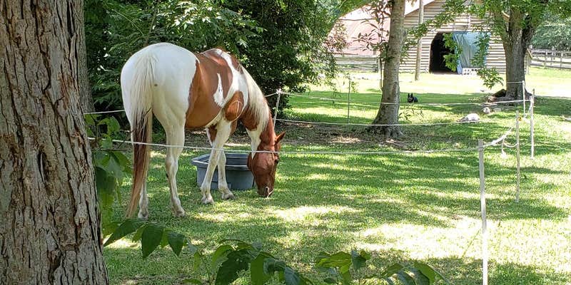 Camper submitted image from Green Wood Stable Lodge RV Park