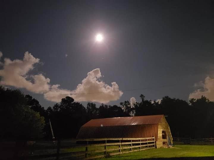 Camper-submitted photo at Green Wood Stable Lodge RV Park near Ocean Springs, MS