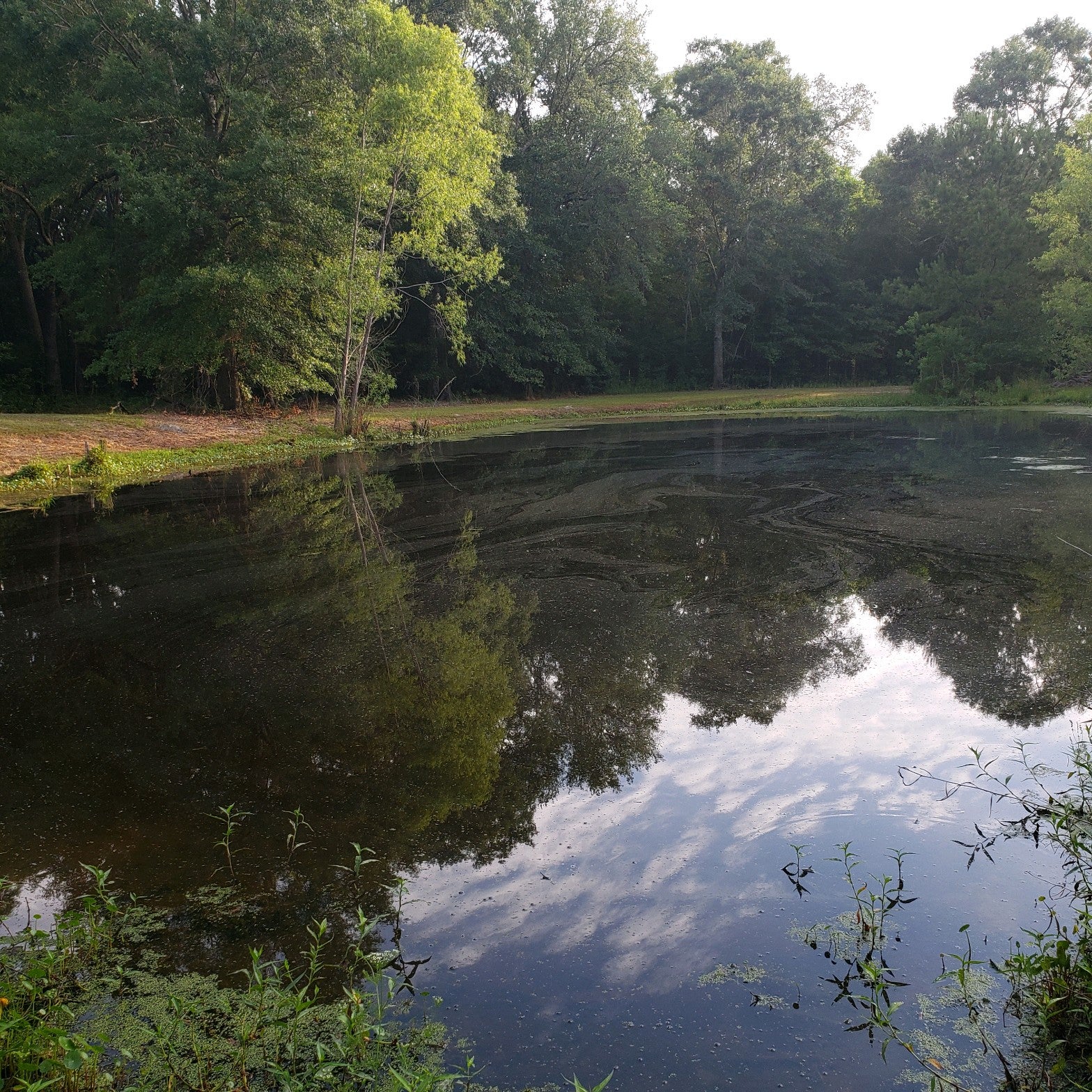 Pond on-site.