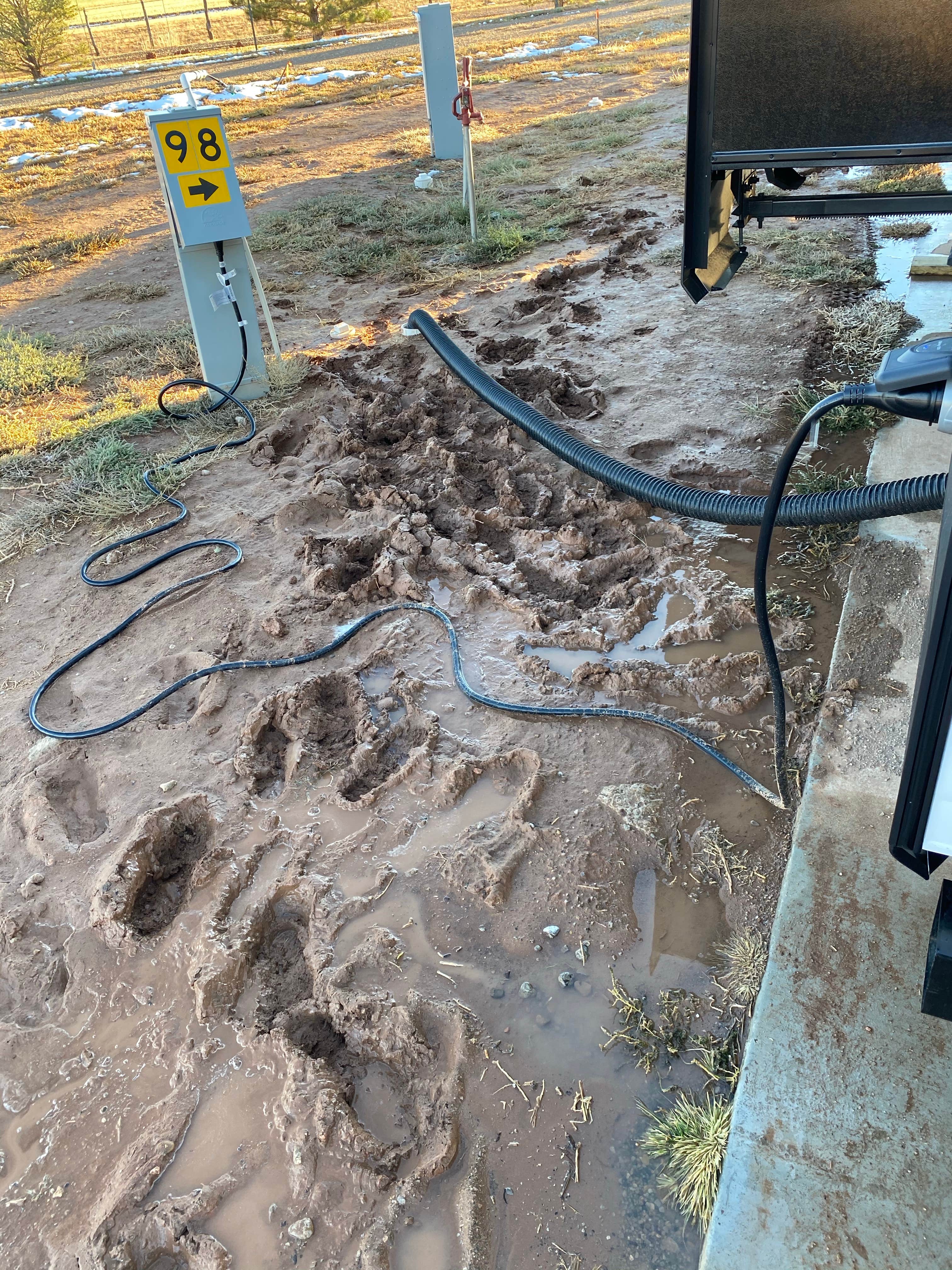 Camper-submitted photo at Tucumcari KOA near Conchas Dam, NM