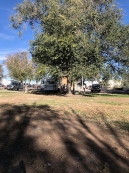 Camper submitted image from Antelope Valley RV Park - 3