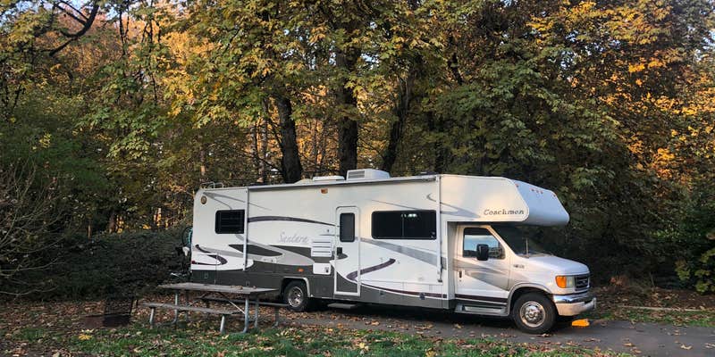 Camper submitted image from Armitage Park & Campground - a Lane County Park