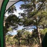 Review photo of East Ridge Campground in Royal Gorge by ethan S., November 5, 2020