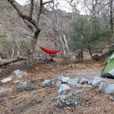 Review photo of Potwisha Campground — Sequoia National Park by Julie D., November 5, 2020