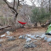 Review photo of Potwisha Campground — Sequoia National Park by Julie D., November 5, 2020