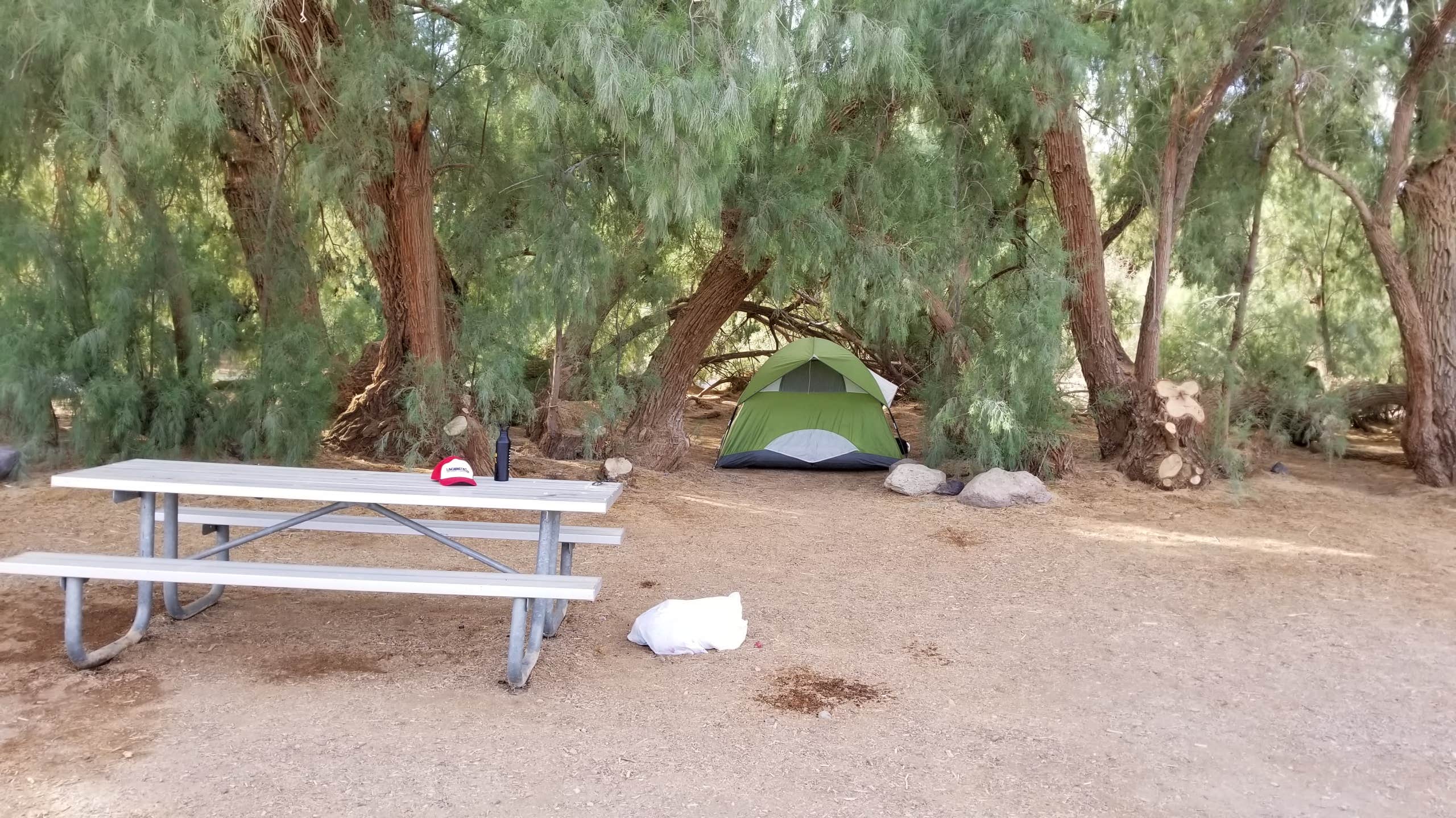 Julie D.'s photo at Furnace Creek Campground — Death Valley National Park near Death Valley National Park