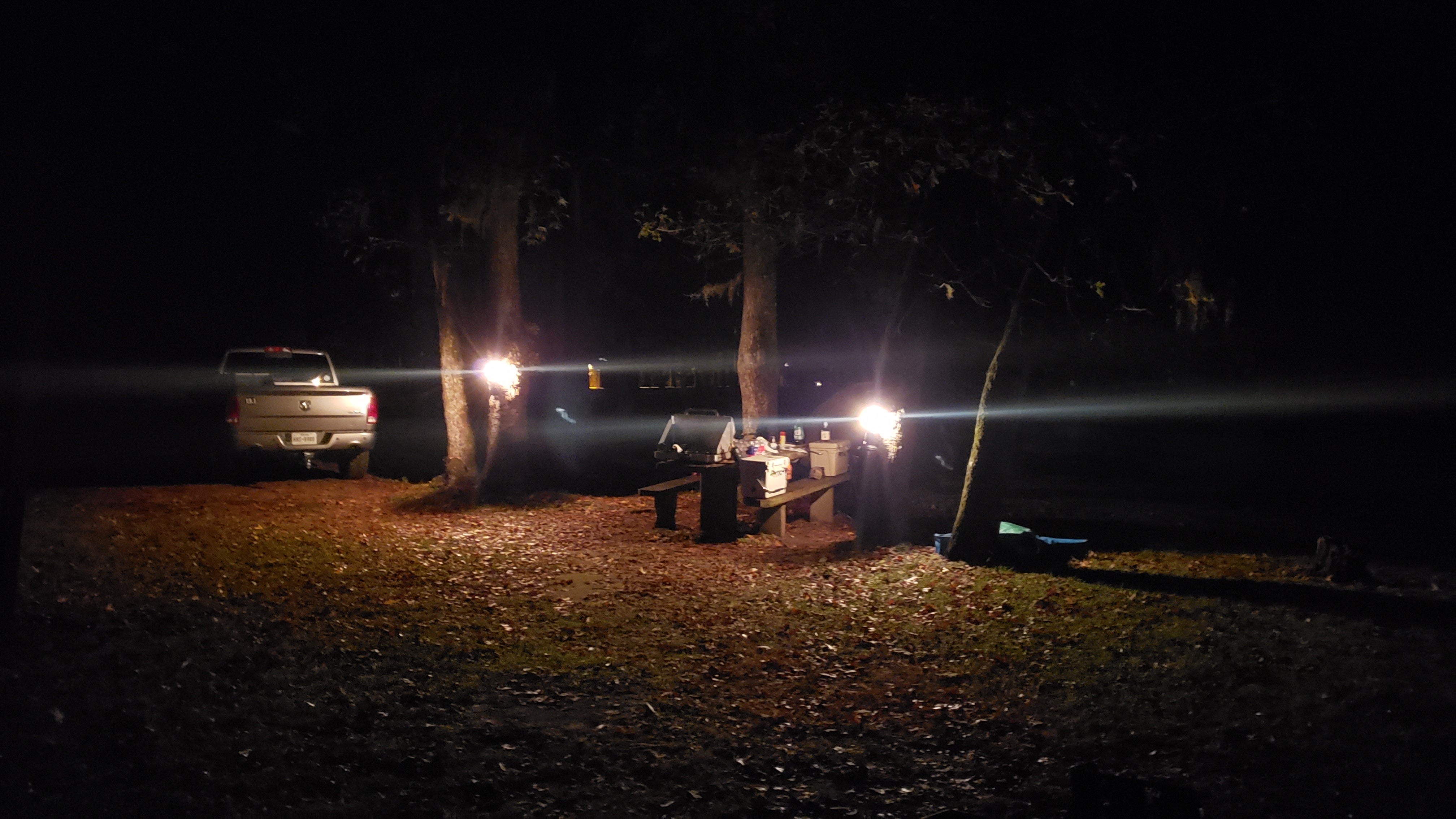 Camper submitted image from Sam Houston National Forest Cagle Recreation Area - 4