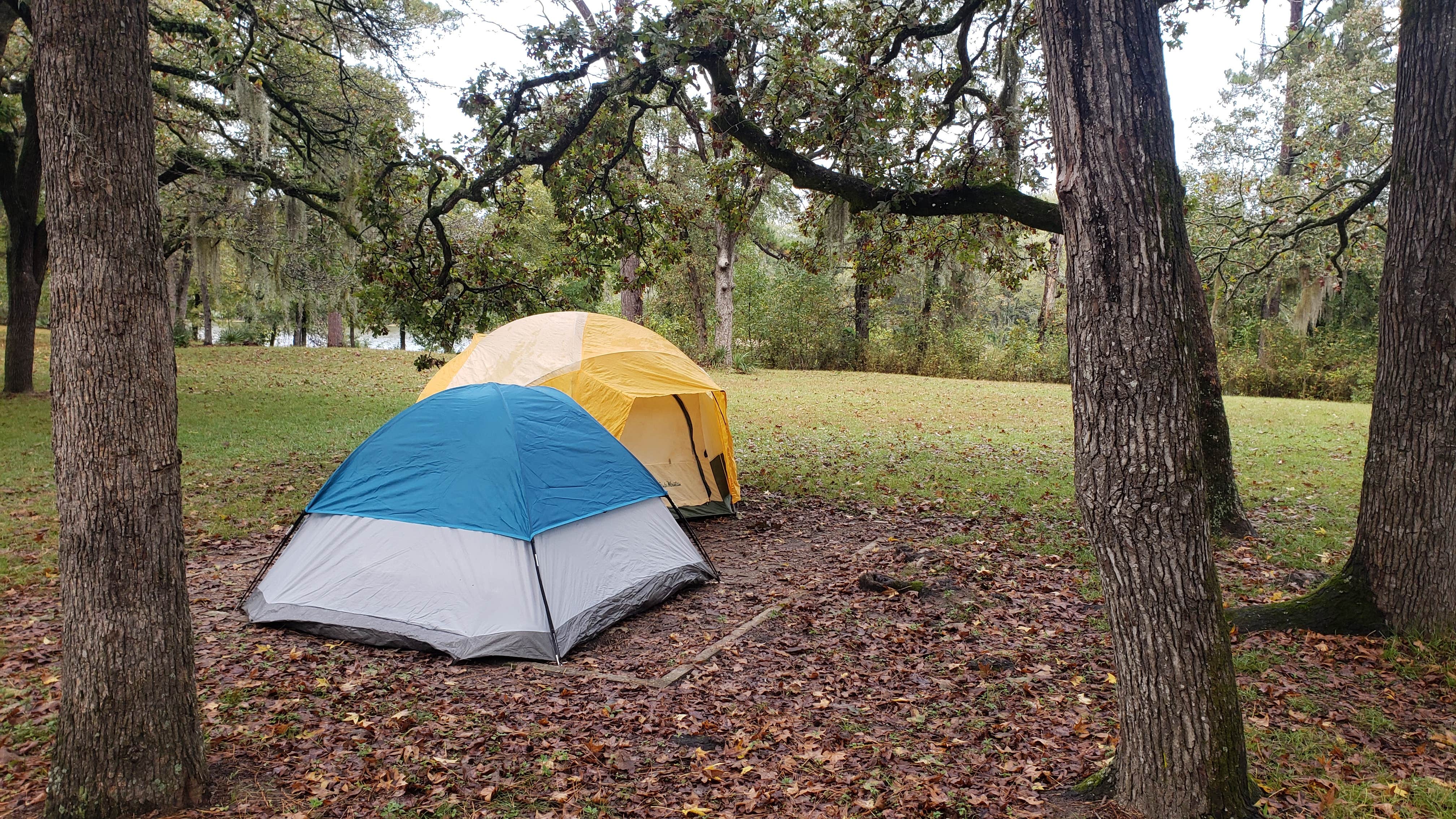 Jeremy K.'s photo at Sam Houston National Forest Cagle Recreation Area near Bryan, TX