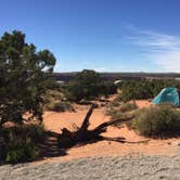 Review photo of Kayenta Campground — Dead Horse Point State Park by Carly E., May 23, 2018