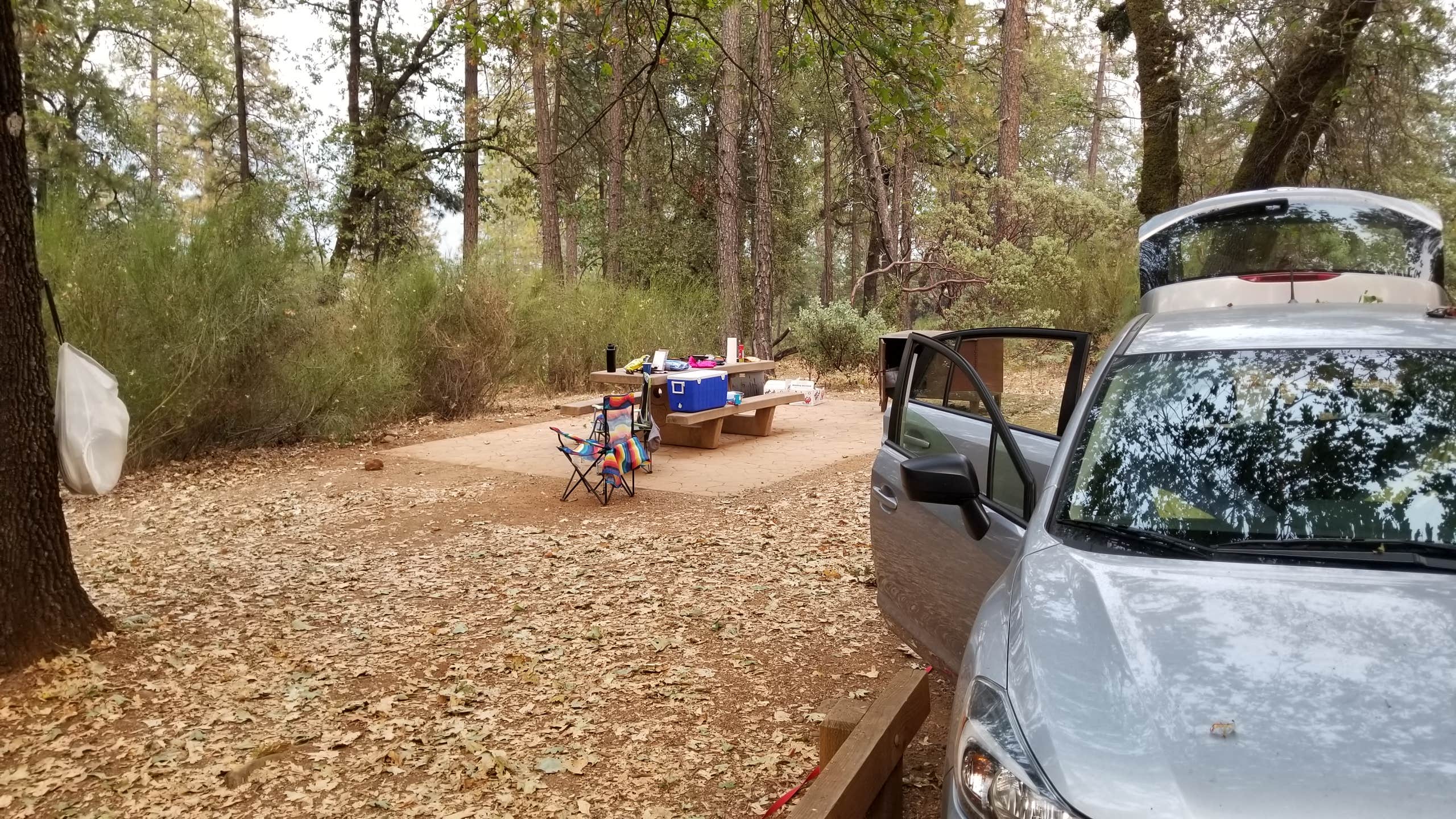 Julie D.'s photo at Hirz Bay Campground near Lakehead, CA