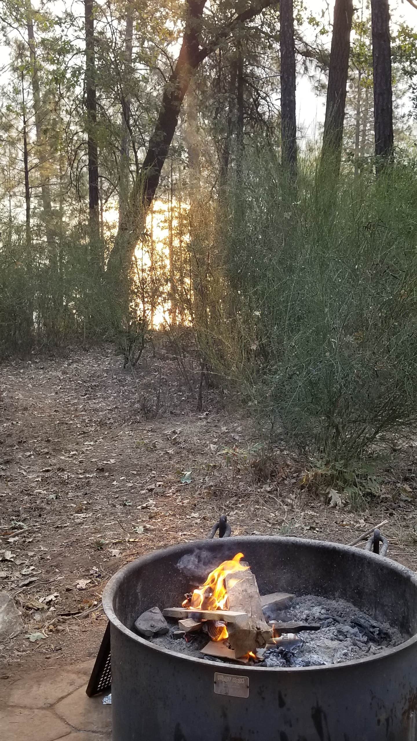 Camper submitted image from Hirz Bay Campground - 2