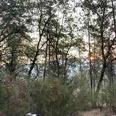 Review photo of Hirz Bay Campground by Julie D., November 5, 2020