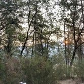 Review photo of Hirz Bay Campground  by Julie D., November 5, 2020