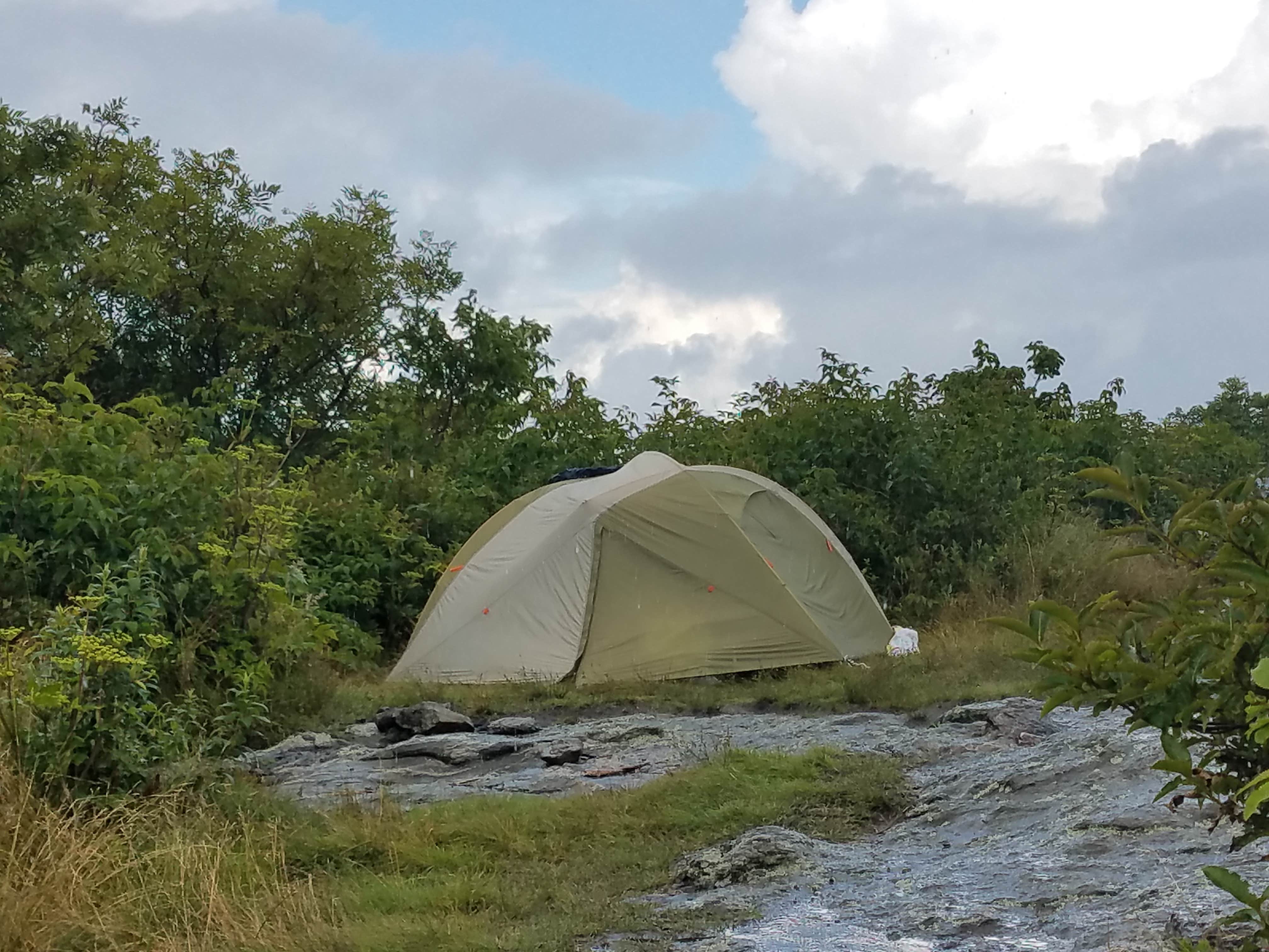 Myron C.'s photo of a dispersed camping area at Black Balsam Knob - Dispersed Camping near Candler, NC