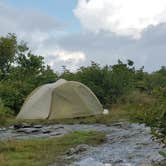 Review photo of Black Balsam Knob - Dispersed Camping by Myron C., November 5, 2020