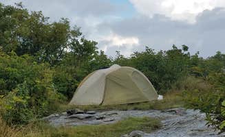 Myron C.'s photo of a dispersed camping area at Black Balsam Knob - Dispersed Camping near Maggie Valley, NC