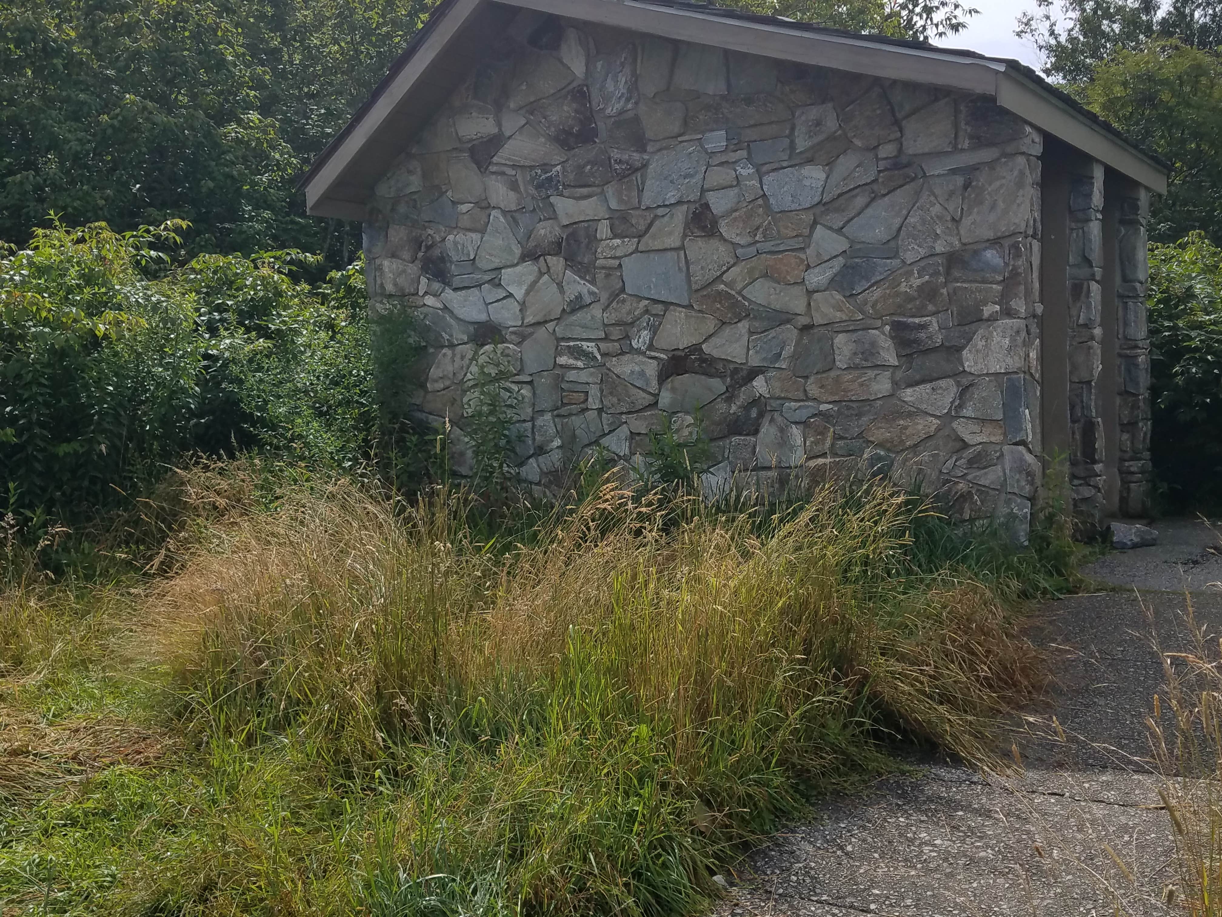 Camper submitted image from Black Balsam Knob - Dispersed Camping - 3