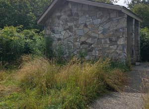 Black Balsam Knob - Dispersed Camping