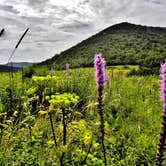 Review photo of Black Balsam Knob - Dispersed Camping by Myron C., November 5, 2020