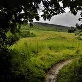 Review photo of Black Balsam Knob - Dispersed Camping by Myron C., November 5, 2020