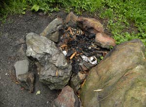 Black Balsam Knob - Dispersed Camping