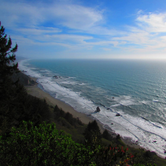 Review photo of Elk Prairie Campground — Prairie Creek Redwoods State Park by Patricia O., May 23, 2018
