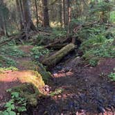 Review photo of Heart O' the Hills Campground — Olympic National Park by Ariel & John  W., October 27, 2020