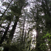 Review photo of Elk Prairie Campground — Prairie Creek Redwoods State Park by Patricia O., May 23, 2018