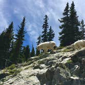 Review photo of Prospector Campground by Carly E., May 23, 2018