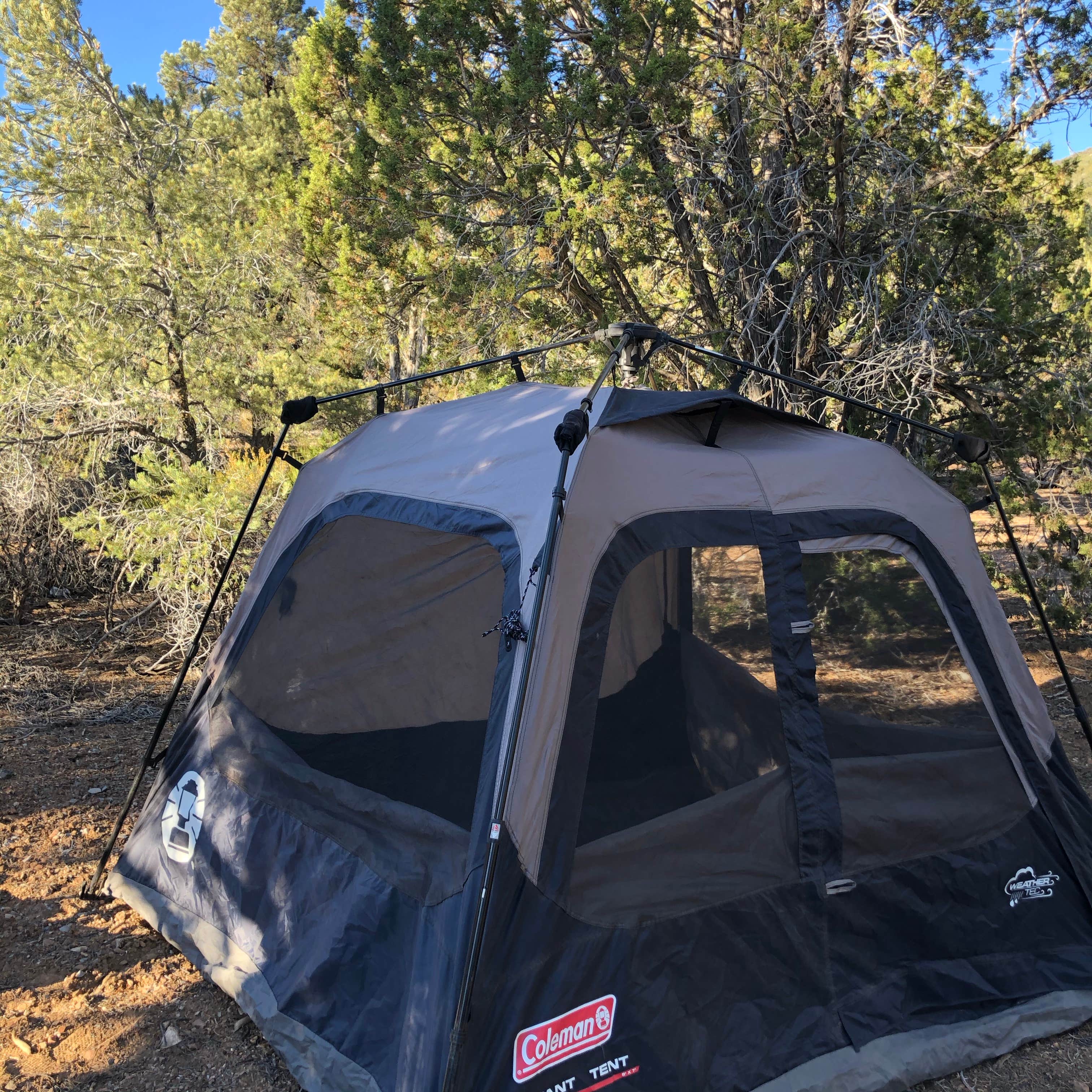 Tim P.'s photo of a dispersed camping area at Lovell Canyon Dispersed Camping (Spring Mountain) in Nevada