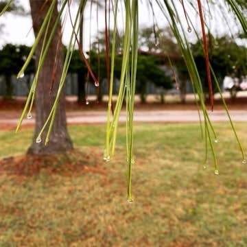 Camper-submitted photo at The Colonies RV and Travel Park near Greenwood, VA