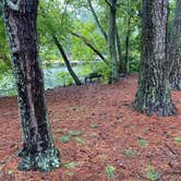 Review photo of Military Park Langley AFB Bethel Recreation Area - Park and FamCamp by Maria K., November 5, 2020