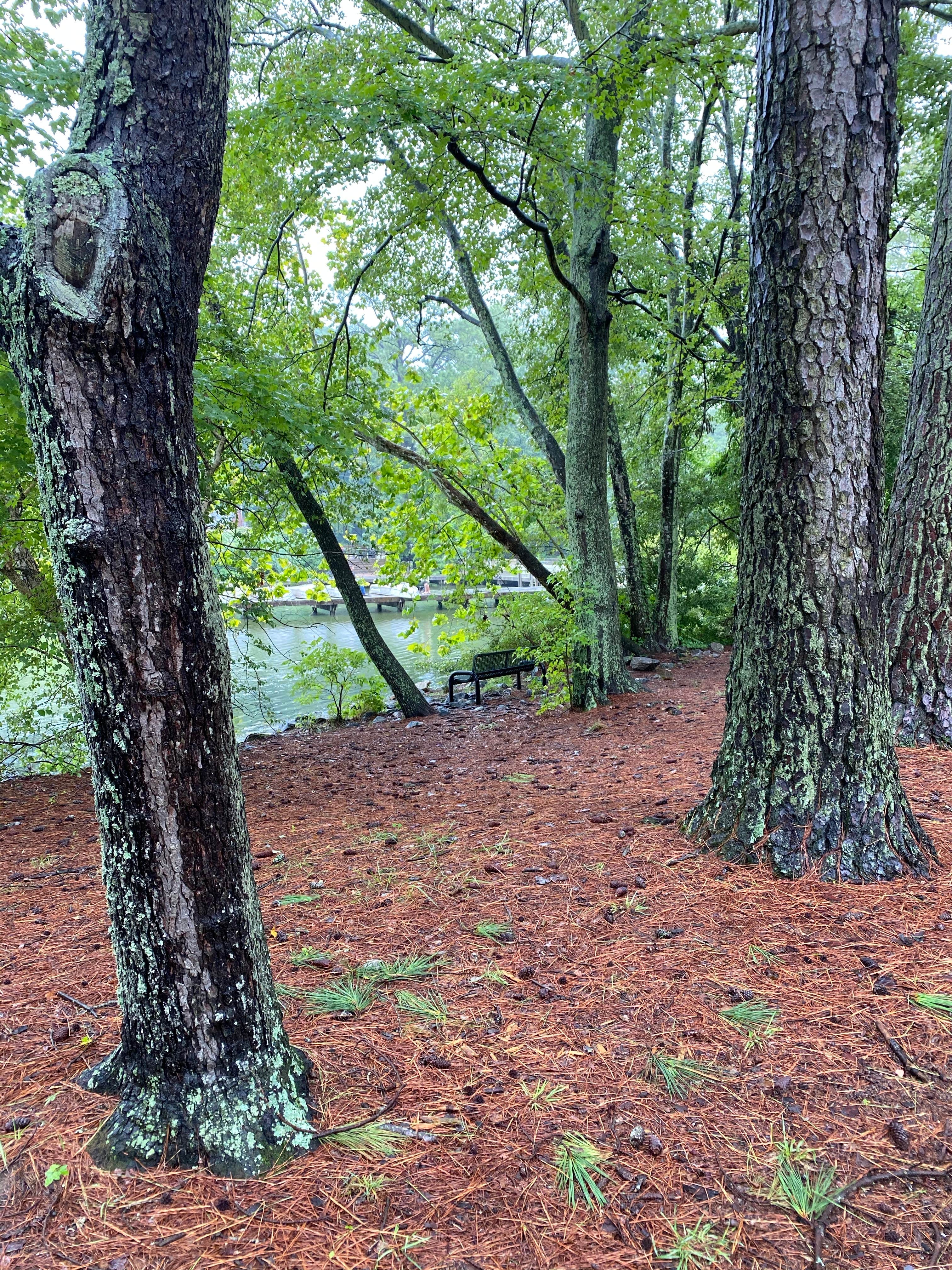 Camper submitted image from Military Park Langley AFB Bethel Recreation Area - Park and FamCamp - 2