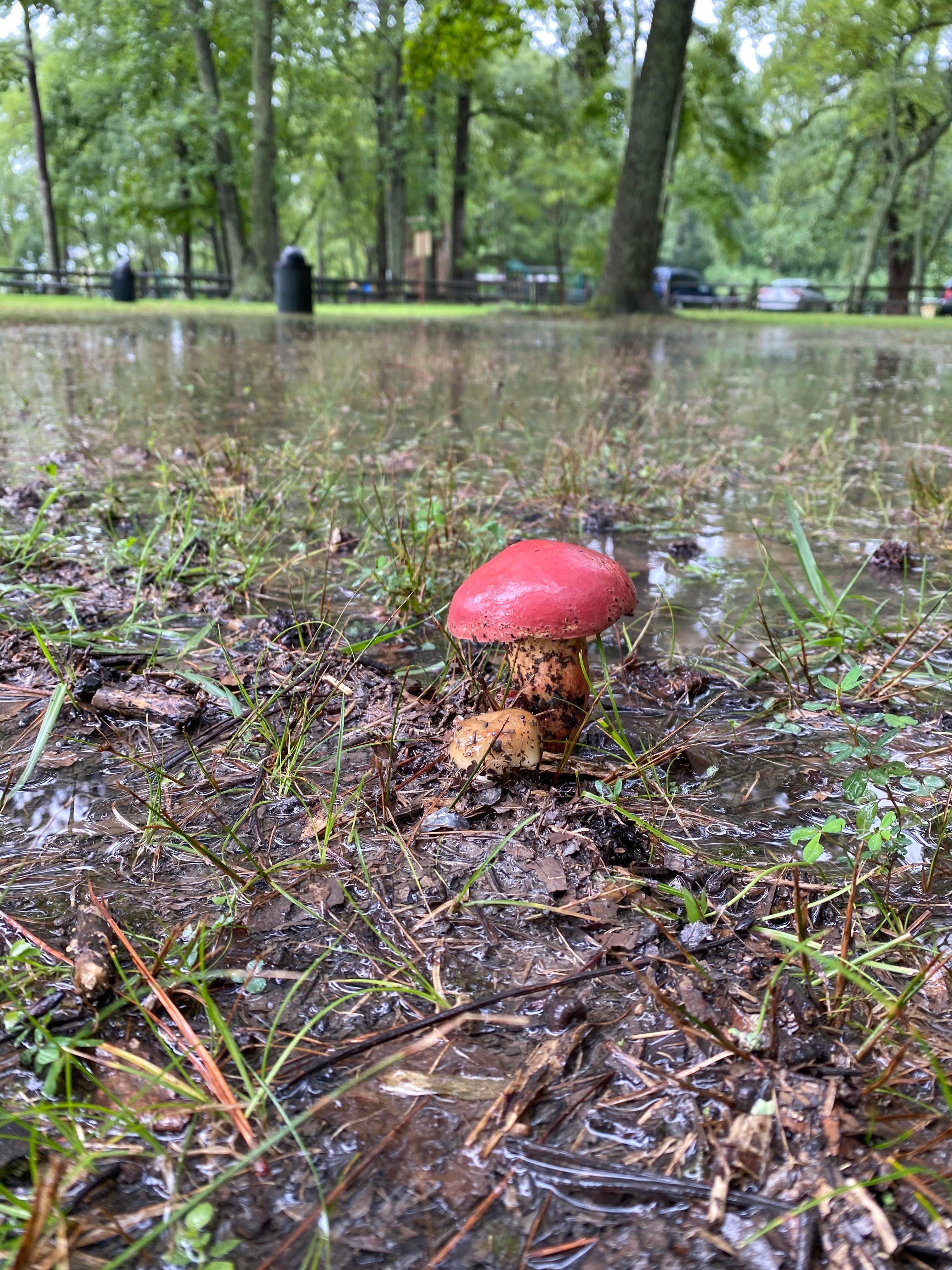 Camper submitted image from Military Park Langley AFB Bethel Recreation Area - Park and FamCamp - 4