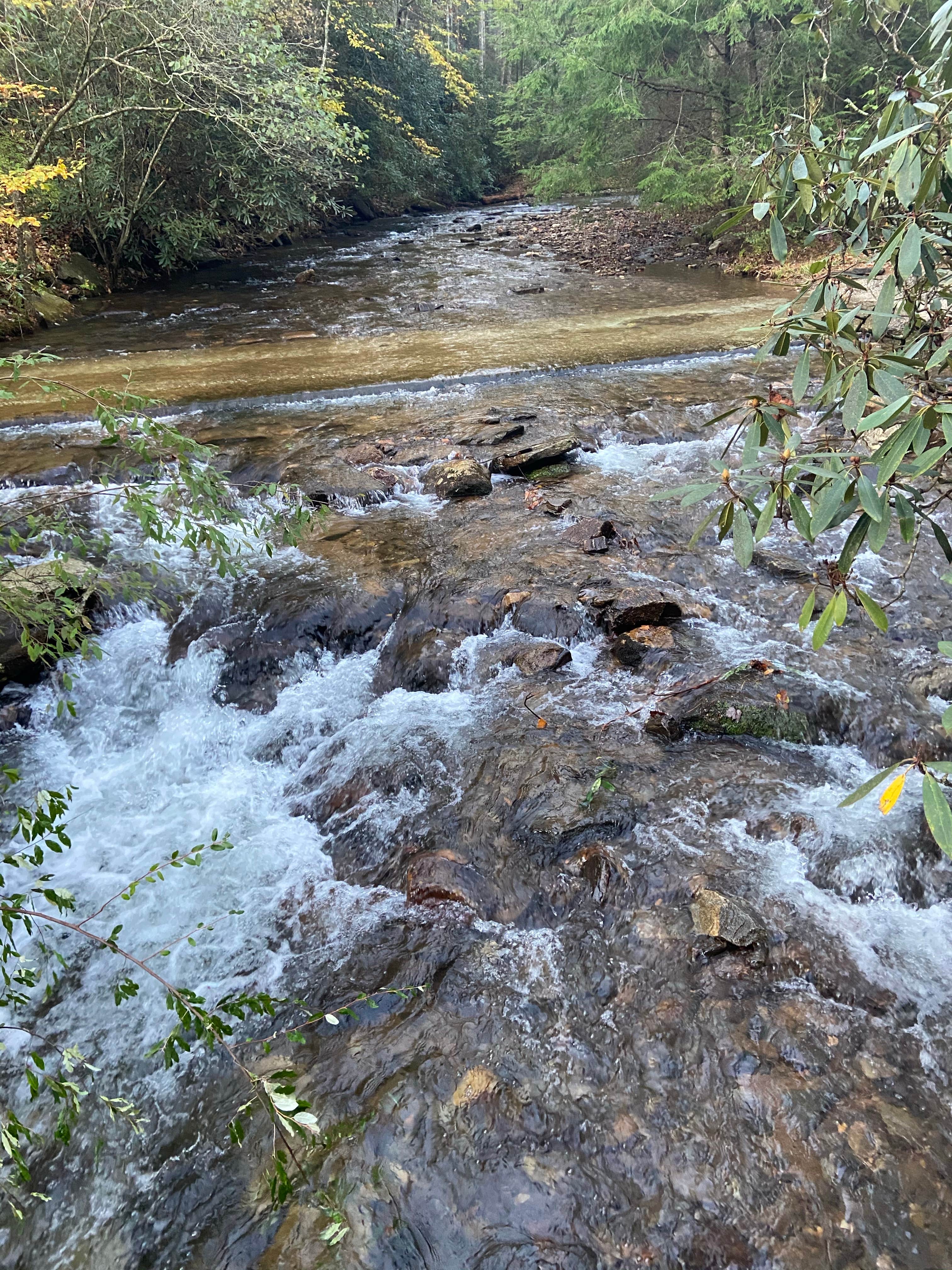 Camper-submitted photo at Low Gap Creek near Sautee Nacoochee, GA