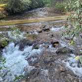 Review photo of Low Gap Creek by Lindsey , November 5, 2020