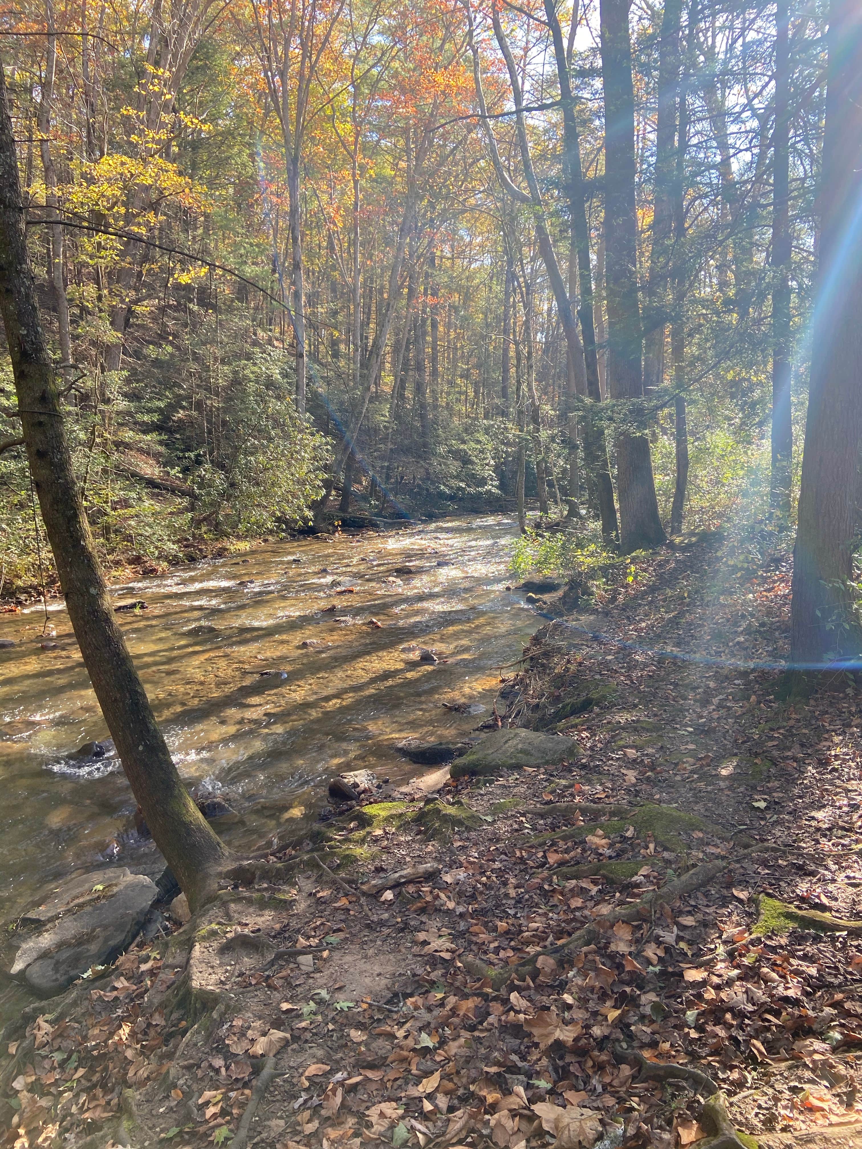 Camper-submitted photo at Low Gap Creek near Sautee Nacoochee, GA
