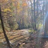Review photo of Low Gap Creek by Lindsey , November 5, 2020