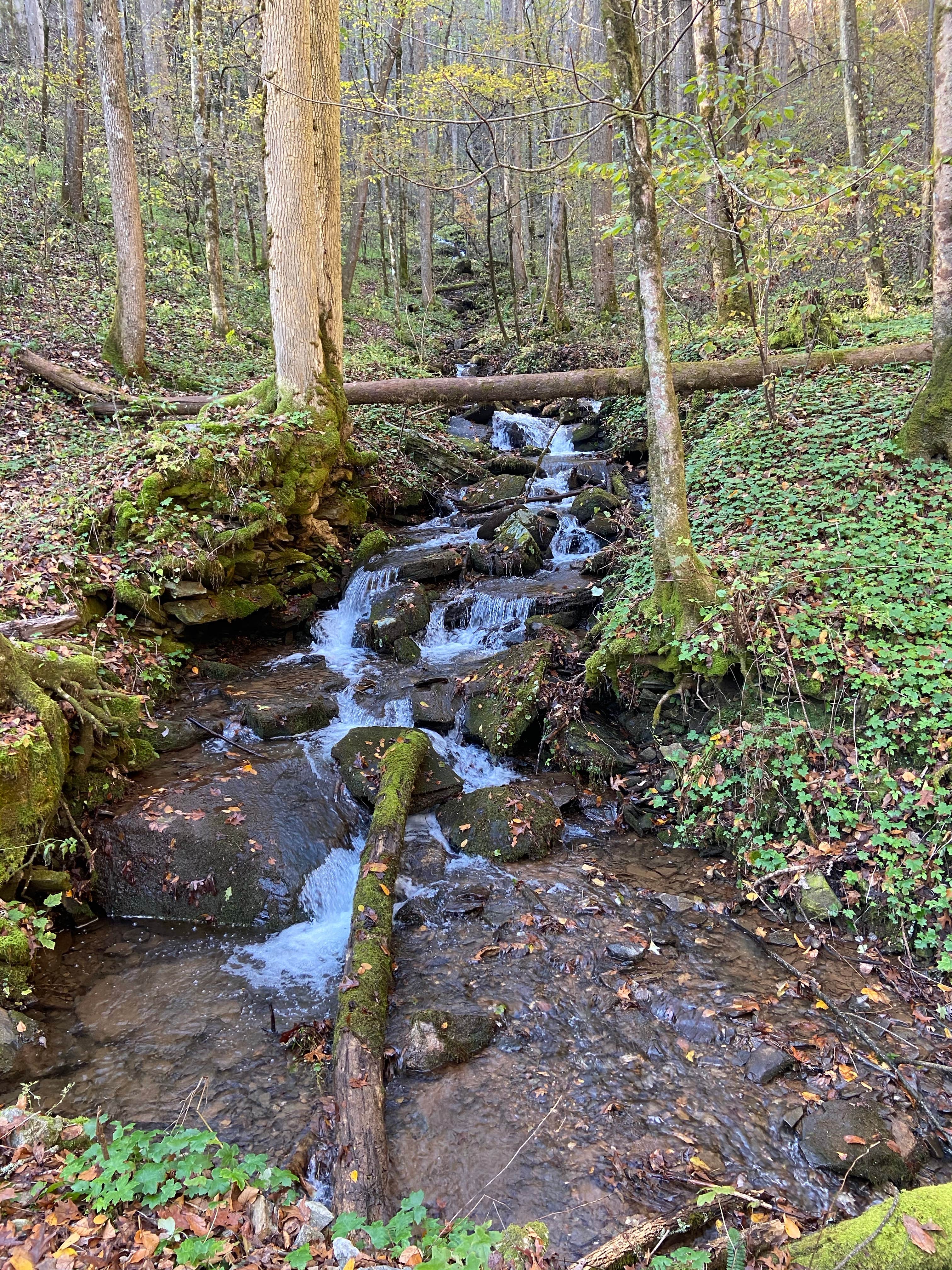 Camper-submitted photo at Low Gap Creek near Sautee Nacoochee, GA