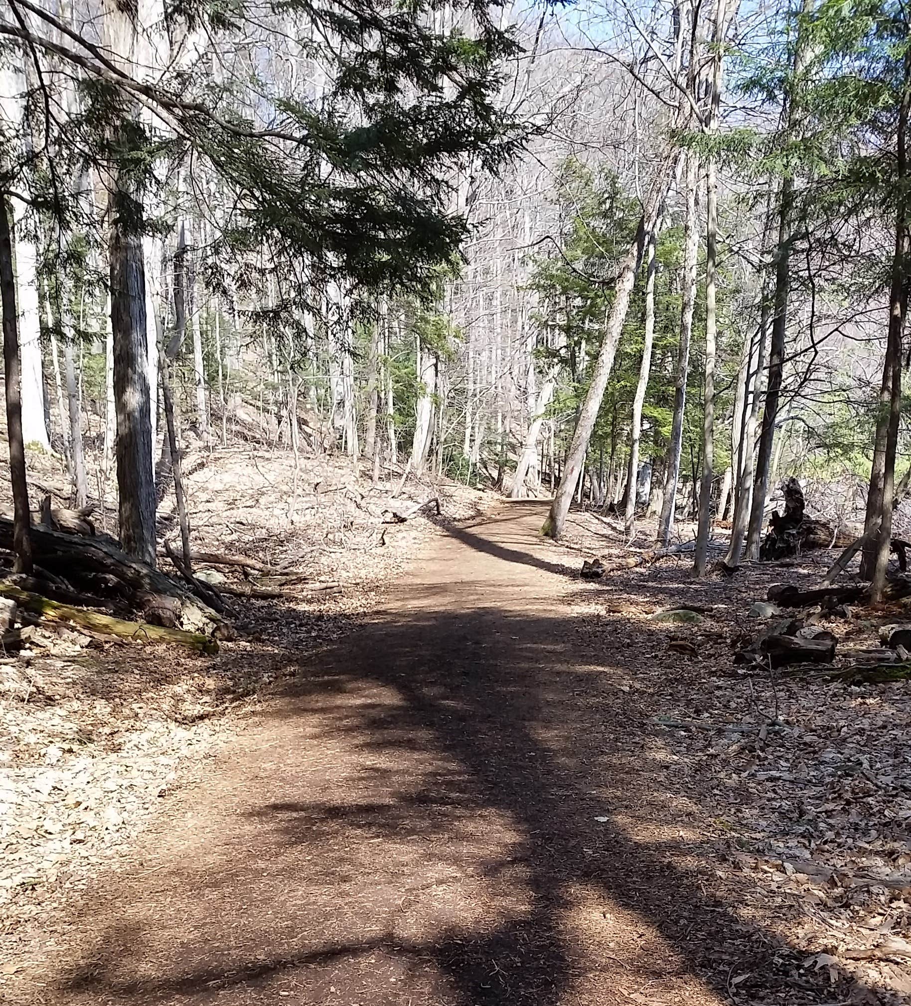 Camper submitted image from Green Lakes State Park Campground - 2