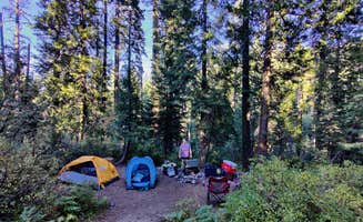erin O.'s photo at Castle Lake Campground near Castella, CA
